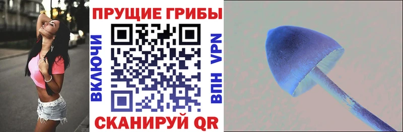 Галлюциногенные грибы Magic Shrooms  Лысково 